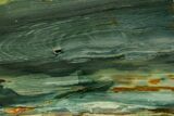 Gary Green Jasper (Larsonite) Bog Wood Slab - Oregon #377741-1